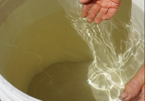 tác hại nước nhiễm mặn